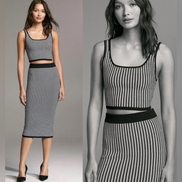 Babaton Striped Knit Skirt - Picture 2 of 8